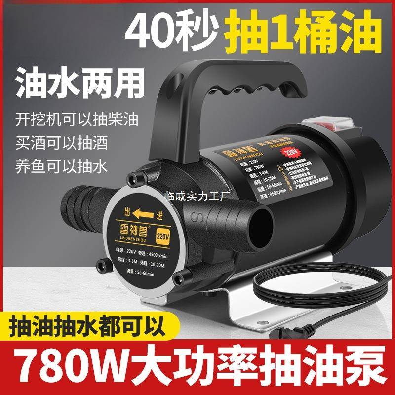 油水两用抽油泵电动抽水泵12V24V220V伏直流高压抽水泵加油机