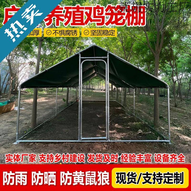户外鸡笼鸡棚特大号家禽养鸡鸽笼搭建家用养殖孔雀防雨鸡舍大型
