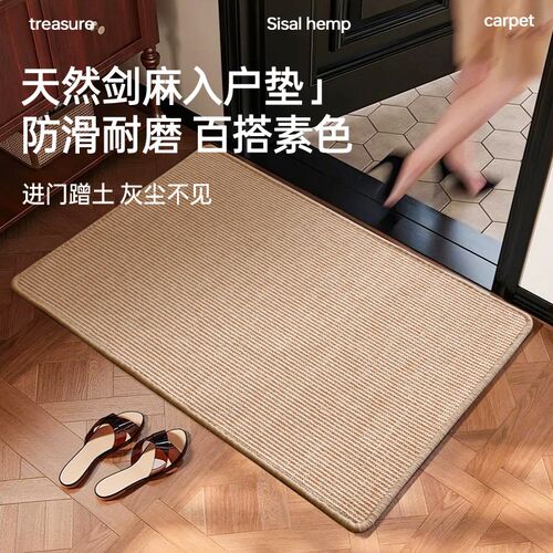 剑麻地毯入户门内玄关n门垫门口进门脚垫2025新款高端室内防滑地