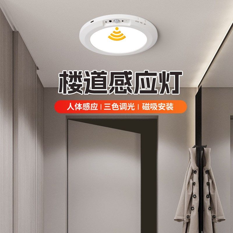 感应灯楼道充电吸顶入户门迎宾玄关高级免布线进门口人来即亮照明,家装灯饰光源,感应灯,淘宝优惠券,粉丝福利购,淘宝优惠卷