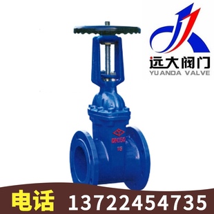 25Q铸铁法兰软密封明杆闸阀DN40 河北远大阀门 DN600 Z41X