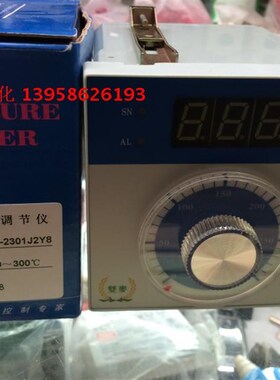 KEYANG科洋 XMTA-2301J2Y8 数显温度调节仪 双麦烤箱温控仪 K型