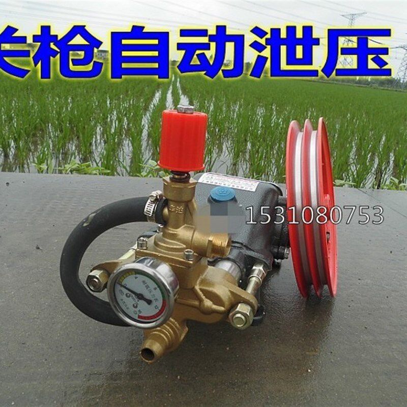 自动泄压高压机动喷雾器/冲洗猪圈打洗网机园林果树农用泵水泵