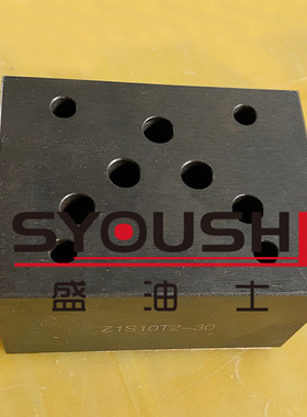 叠加式止逆阀Z1S10T/A/P/D/C/B/E/F-1/2/3-30止回阀质保一年