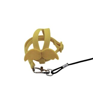 鹦鹉放飞溜鸟绳遛鸟神器珍珠鸟专用放飞绳八哥专用脚环背带遛鸟绳