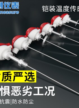 联测K型铠装热电偶pt100热电阻高温探头温度传感器测温仪温度计