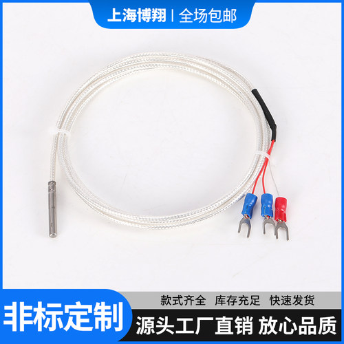PT100/1000铂热电阻温度感测器赶温监视器WZP-035热电偶