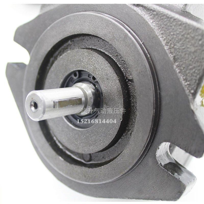 VP20变量叶片泵VP-SF-12/15/20-D VCM-SF-20D/12-10 油泵VP20-FA3