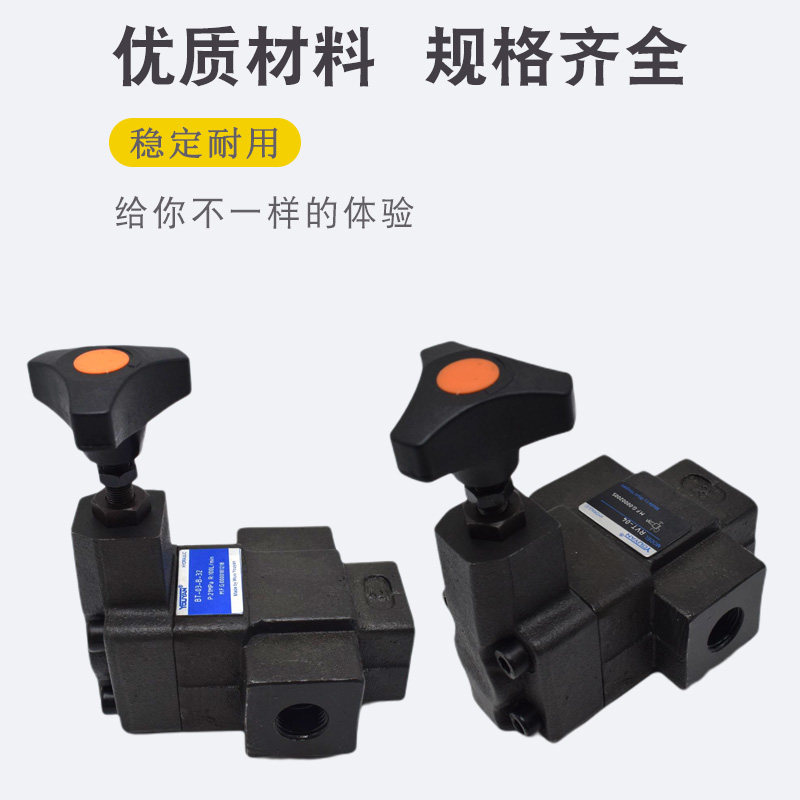 S-BG-03-L-40先导式溢流阀BG-06液压BT-03管接BHG,RV-10T RF-T04