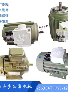 上海车床C630/CW6163磨床电机YS7124 油泵电机YS6334TH/轴14 250W