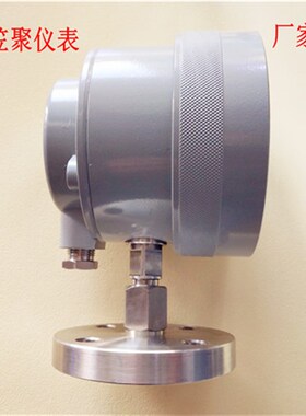法兰式隔膜防爆电接点压力表 YX100B-MF YX160B-MF 1.6MPA DN15