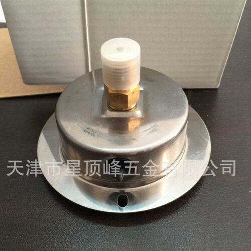 轴向带边耐震压力表YN60ZT液压油压气压水压注塑机压力表0-1.6MPA
