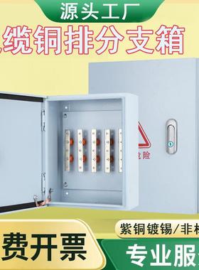 绝缘电缆铜排T接箱户外低压铜排分支箱室内明装楼层转换接线端箱