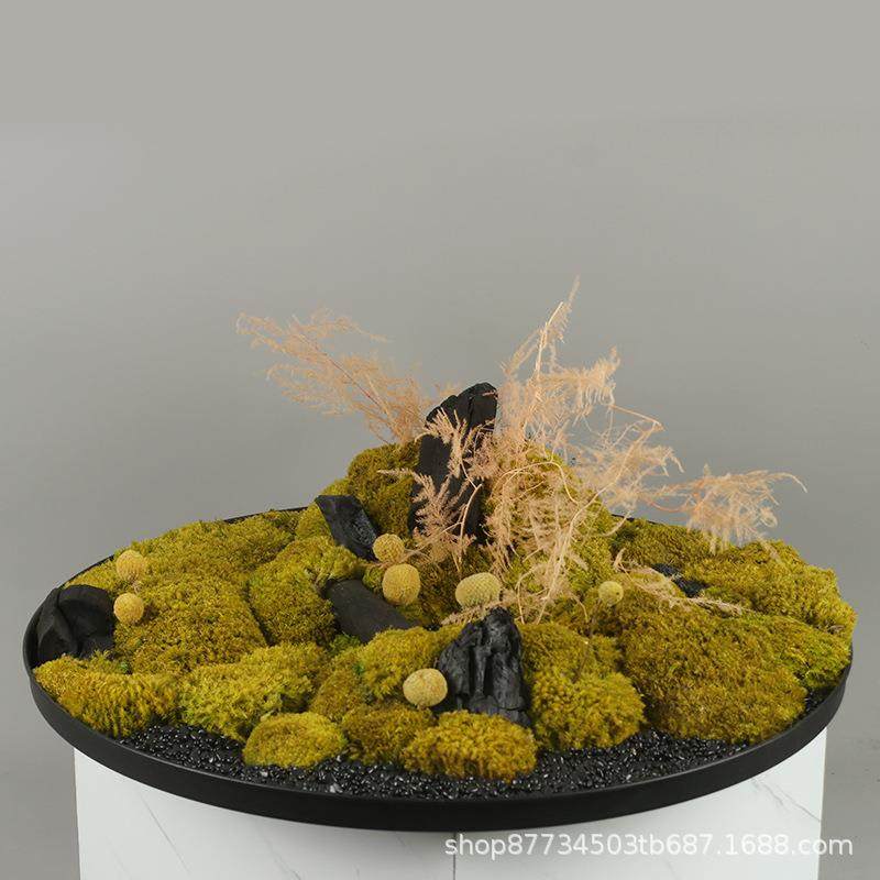 新中式现代永生苔藓植物盆景微景观样板间售楼处办公室内绿植摆件