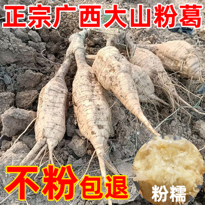 广西大山粉葛【不粉包退】