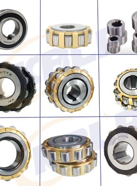 减速机整体偏心轴承130752904 150752904 180752904 250752904 K