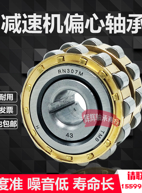 减速机整体偏心轴承 80752305 200752305 250752305 130752305 K