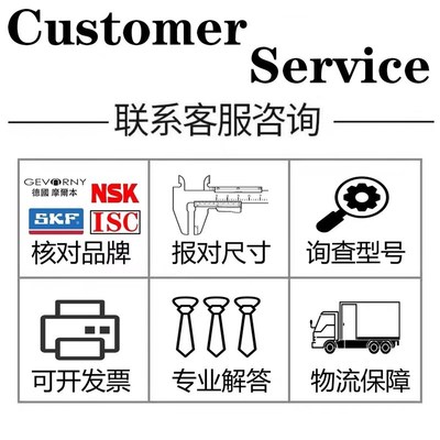 东莞市德国原装进口轴承 6300 6301 6302 6303 6304 6305 6306 RZ