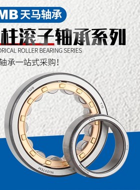 天马圆柱滚子轴承N NU NJ2204 2205 2206 2207 2208 2209 2210EM