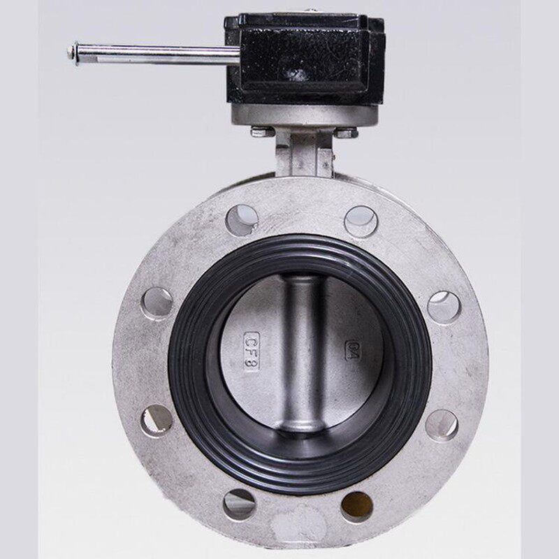 304全不锈钢涡轮法兰式蝶阀D341X-10/16PDN506580 100 125 150200
