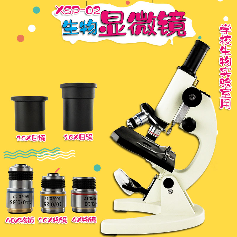 XSP-02 生物显微镜 640X 640倍 学校实验室使用初中生物教学仪器