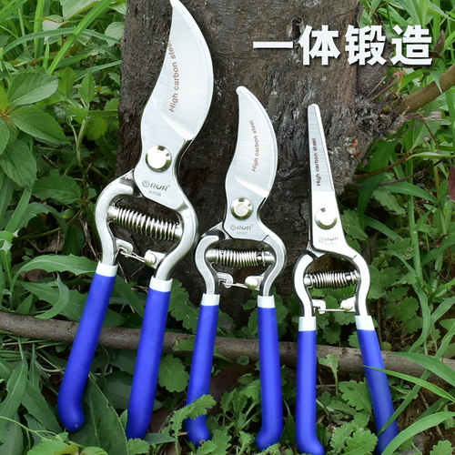 剪枝果树修枝剪刀园艺园林修花枝剪家用强力剪子神器花剪剪枝剪刀