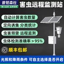 害虫监测系统站远程实时监测智慧农业害虫检测仪仪器设备厂家直销