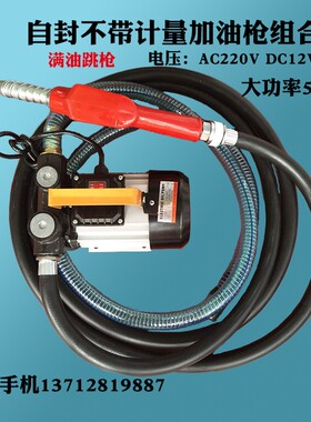 大流量 220V12V24V电子自封计量组合加油泵电动抽油泵柴油加油机