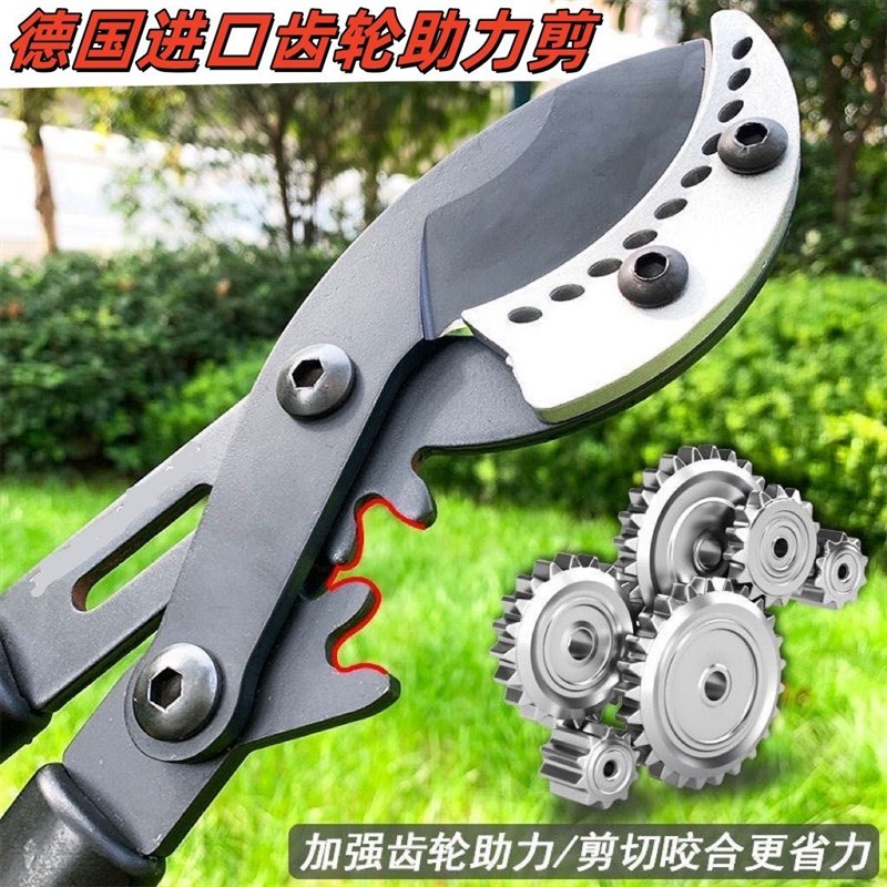德国进口大力剪果树高枝剪修枝剪子粗枝剪齿轮强力伸缩大剪刀园林