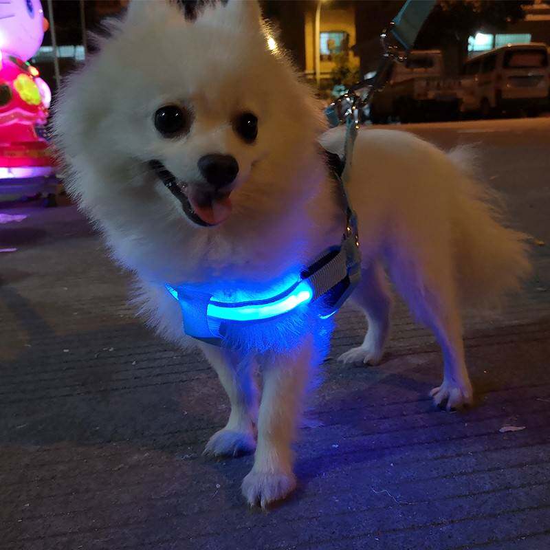 狗狗牵引绳背心式发光胸背泰迪链子夏天夜光狗绳小型充电