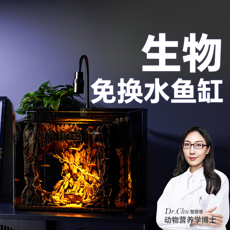 背滤鱼缸玻璃小型生态一体式背过滤自循环免换水懒人客厅2024新款