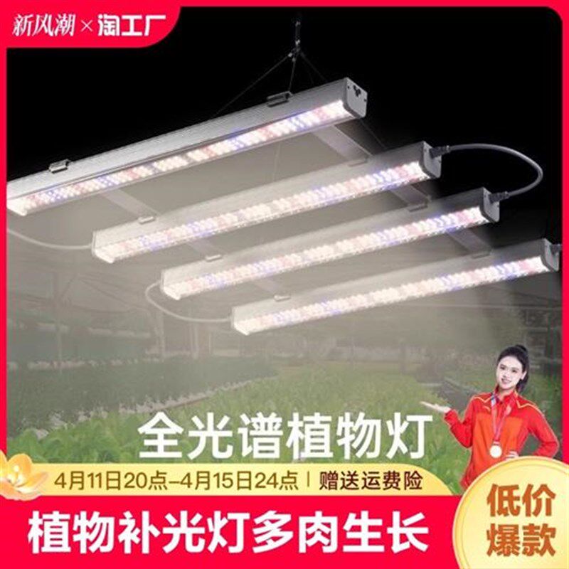 led植物补光灯多肉生长灯绿植大棚花卉育苗仿照太光全光谱红光