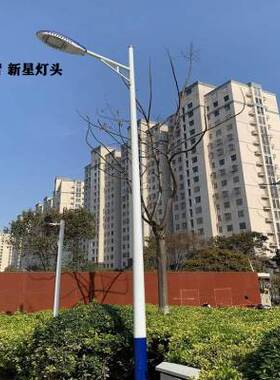 厂家led路灯220v超亮100W5米6米8米新农村O市政道路单头双臂高杆