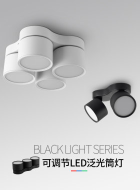 明装四头筒灯客厅无主灯方形斗胆灯吸顶家用可调角度智能三色调光