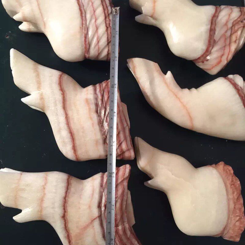 奇石收藏天然猪肉石原石猪腿肉石摆件17cm