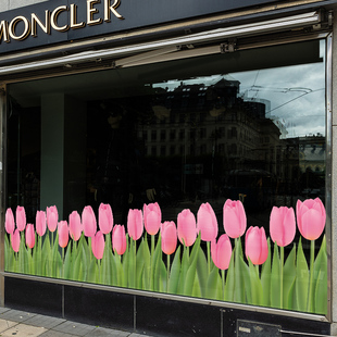 玻璃装饰贴条厨房阳台客厅推拉门上的贴纸防撞创意腰线横条贴画花