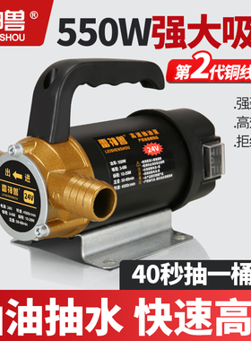 电动抽油泵抽水泵12V24V48V22D0V油水两用泵自吸泵抽油机抽酒神器