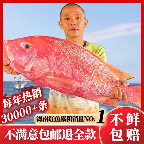 儋州大红鱼干海南特产海鲜干货整条深海淡口咸鱼非湛江广西北海詹