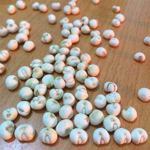 贝母 川贝母四川贝母 中药材 无硫 500g 包邮