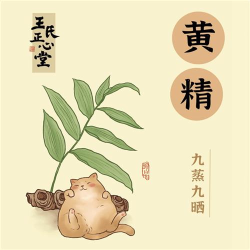 黄精 医者正心 九制黄精 零食 泡水