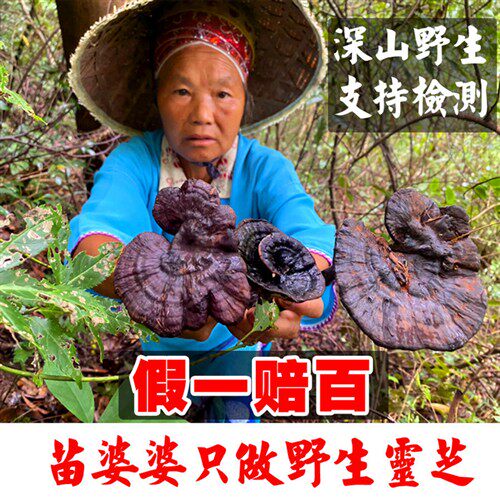 贵州纯野生灵芝紫灵芝林芝非特级整枝可切片泡酒黑灵芝250g
