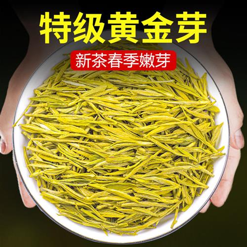 2025黄金芽茶叶新茶特级雨前白茶高山安吉绿茶散装500g礼盒装