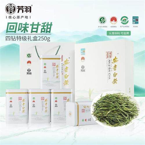 2025年芳羽安吉白茶特级绿茶珍稀白茶礼盒装250g茶叶送礼官方正品