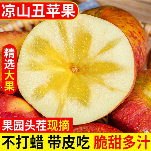四川盐源苹果大凉山冰糖心丑苹果脆甜红富士当季新鲜大果包邮现摘