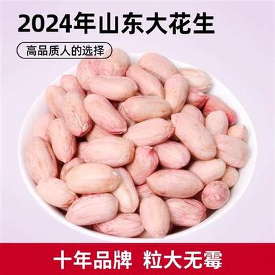 2024年听言花生米生新货山东农家特产花生仁餐饮精选白皮大粒4斤