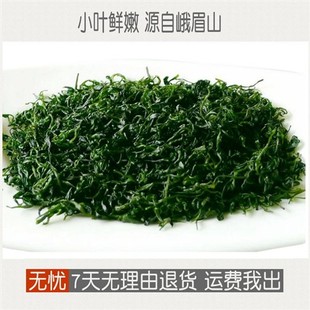 小叶苦丁茶2025新茶正品特级青山绿水四川峨眉山竹本堂茶叶250g