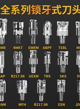 BAP300R/400R可换抗震杆锁牙式铣刀头1135/R0.8EMR T2139BNM 1604