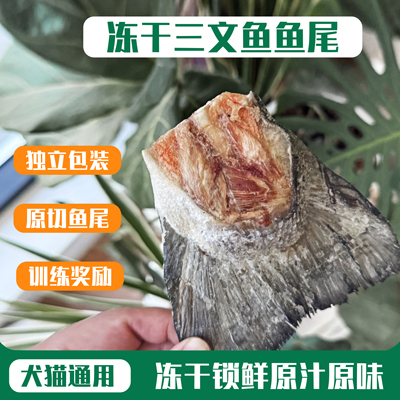 宠物零食冻干三文鱼尾巴