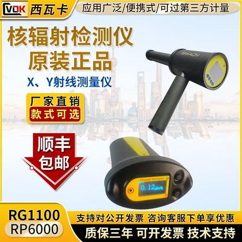核辐射检测仪RG1100个人剂量报警仪放射性X 射线巡检仪RP6000