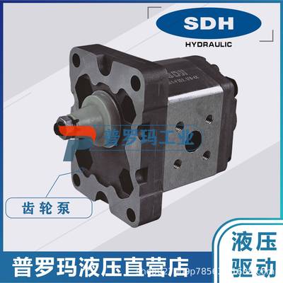 SDH齿轮泵液压泵油泵CBD1-F201.1CBD1-F202.1CBD1-204.2现货